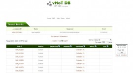 vHOT vHOT